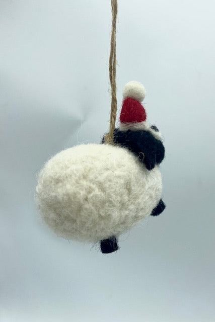 Small Sheep with Red Hat